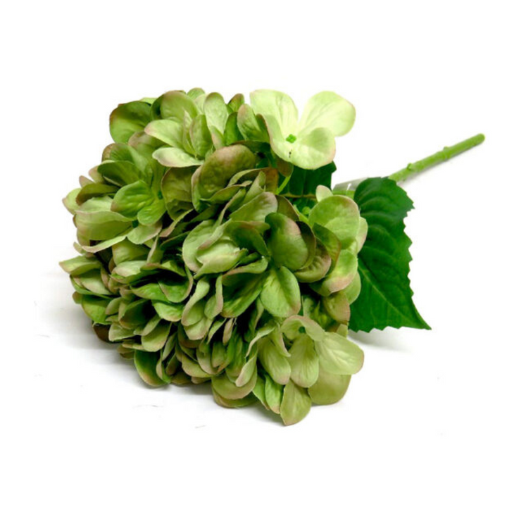 Hydrangea Greenshade by Unique Boys
Add a touch of natural elegance to your space with our stunning Hydrangea Greenshade artificial flowers, expertly crafted to capture the beauty of real blooms.
Breathtaking Details