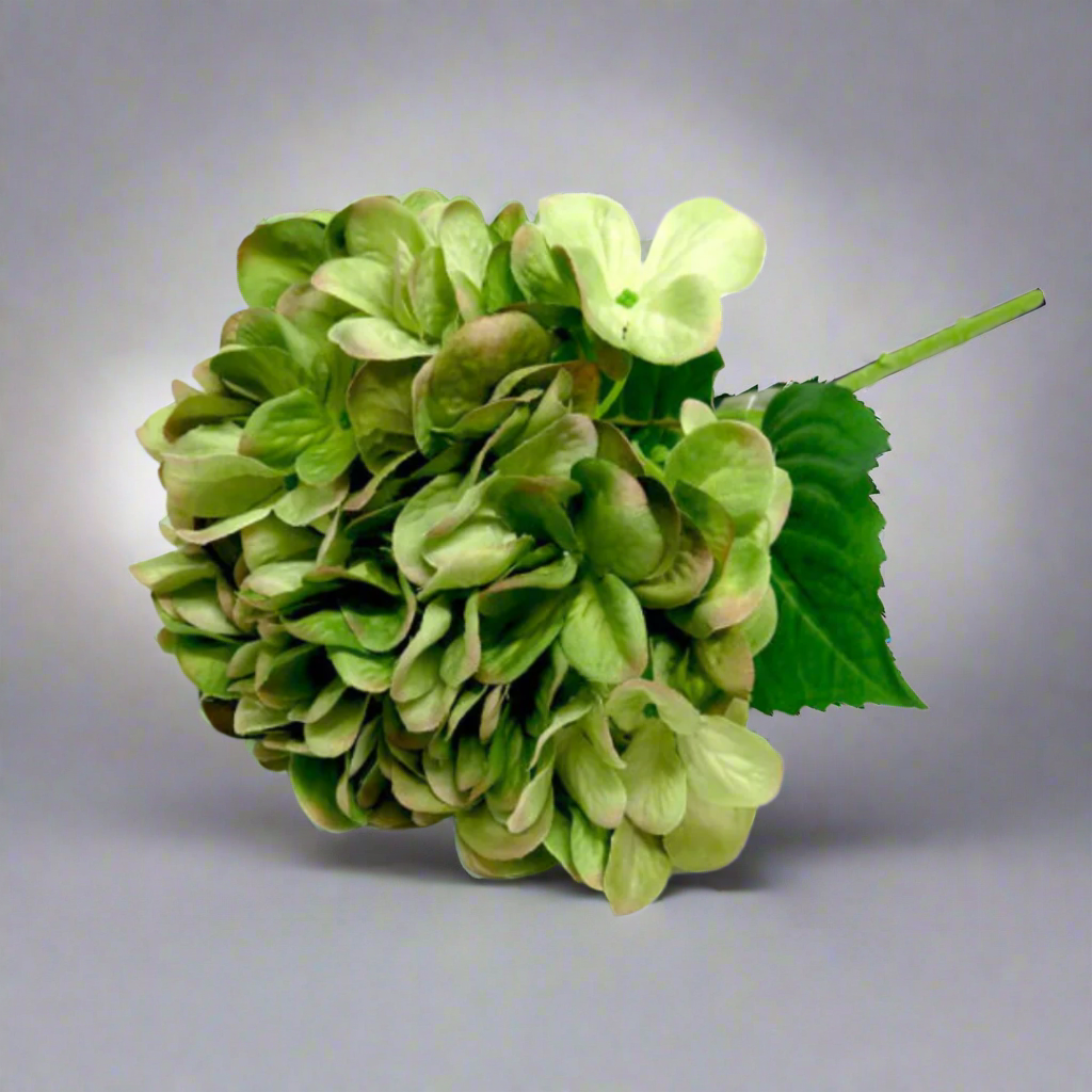 Hydrangea Greenshade by Unique Boys
Add a touch of natural elegance to your space with our stunning Hydrangea Greenshade artificial flowers, expertly crafted to capture the beauty of real blooms.
Breathtaking Details