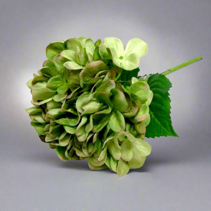 Hydrangea Greenshade by Unique Boys
Add a touch of natural elegance to your space with our stunning Hydrangea Greenshade artificial flowers, expertly crafted to capture the beauty of real blooms.
Breathtaking Details