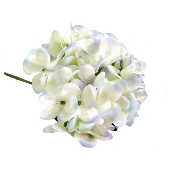 Hydrangea I'heure Bleu by Unique Boys
Experience the enchanting beauty of our Hydrangea I'heure Bleu artificial flowers, expertly crafted to capture the delicate charm of real blooms.
Breathtaking Details