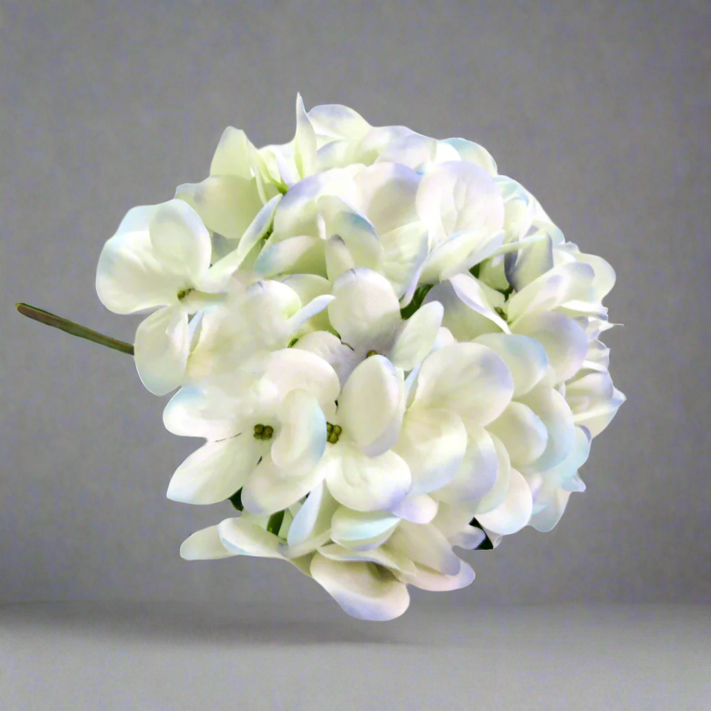 Hydrangea I'heure Bleu by Unique Boys
Experience the enchanting beauty of our Hydrangea I'heure Bleu artificial flowers, expertly crafted to capture the delicate charm of real blooms.
Breathtaking Details