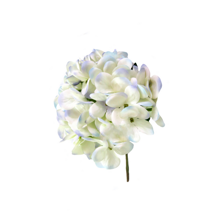 Hydrangea I'heure Bleu by Unique Boys
Experience the enchanting beauty of our Hydrangea I'heure Bleu artificial flowers, expertly crafted to capture the delicate charm of real blooms.
Breathtaking Details