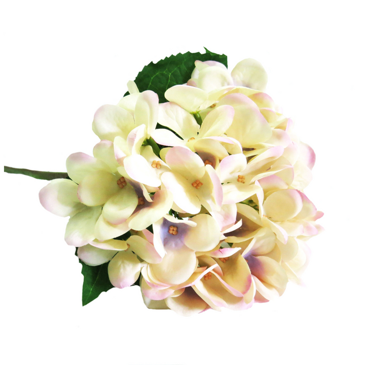 Hydrangea Pastel Perfection by Unique Boys
Experience the elegance of our Hydrangea Pastel Perfection artificial flowers, expertly crafted to capture the beauty of real blooms.
Breathtaking Details