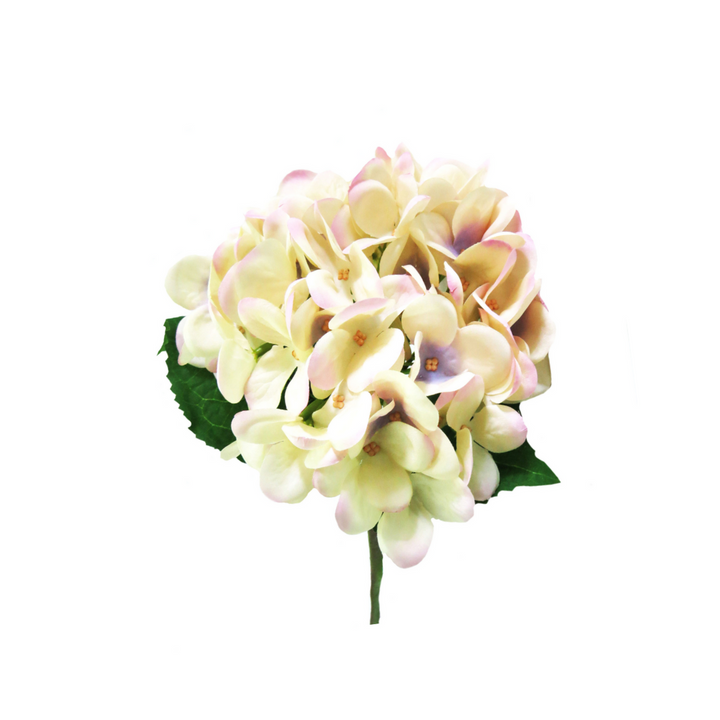 Hydrangea Pastel Perfection by Unique Boys
Experience the elegance of our Hydrangea Pastel Perfection artificial flowers, expertly crafted to capture the beauty of real blooms.
Breathtaking Details