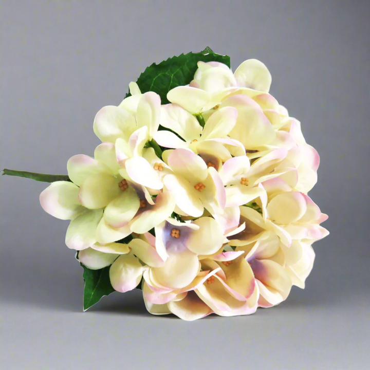 Hydrangea Pastel Perfection by Unique Boys
Experience the elegance of our Hydrangea Pastel Perfection artificial flowers, expertly crafted to capture the beauty of real blooms.
Breathtaking Details