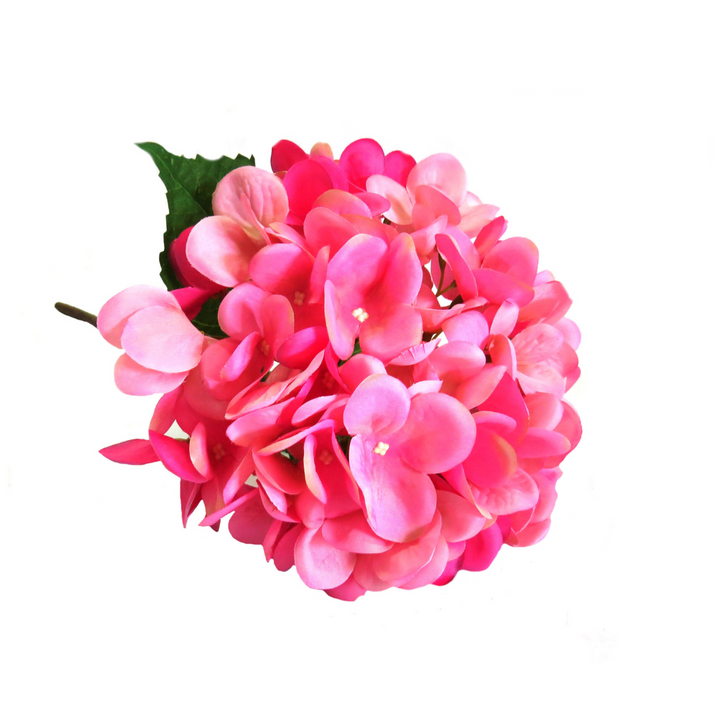 Hydrangea Pink Lightning by Unique Boys
Brighten up your space with our stunning Hydrangea Pink Lightning artificial flowers, expertly crafted to capture the beauty of real blooms.
Breathtaking Details