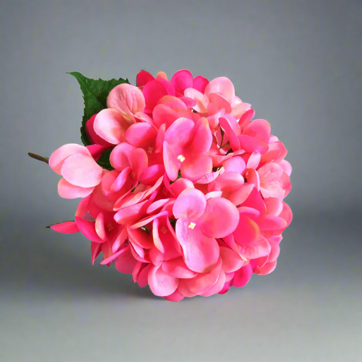 Hydrangea Pink Lightning by Unique Boys
Brighten up your space with our stunning Hydrangea Pink Lightning artificial flowers, expertly crafted to capture the beauty of real blooms.
Breathtaking Details