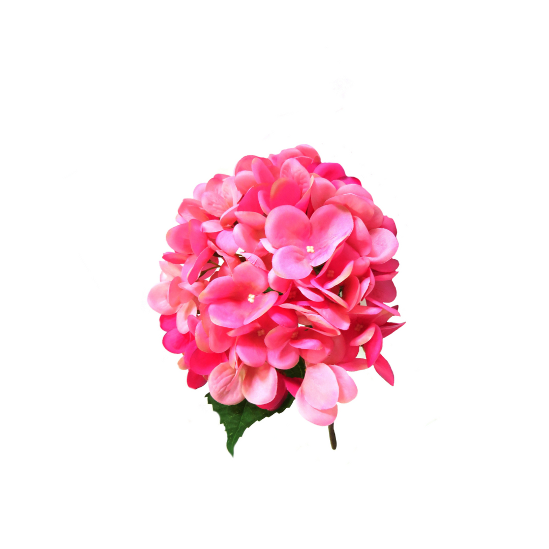 Hydrangea Pink Lightning by Unique Boys
Brighten up your space with our stunning Hydrangea Pink Lightning artificial flowers, expertly crafted to capture the beauty of real blooms.
Breathtaking Details