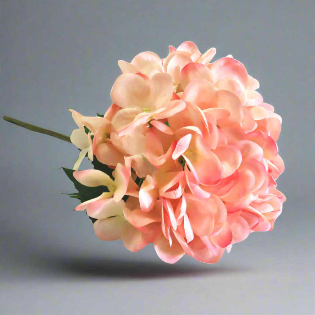 Hydrangea Pink Trifle by Unique Boys
Experience the beauty and elegance of our Hydrangea Pink Trifle artificial flowers, expertly crafted to capture the charm of real blooms.
Breathtaking Details