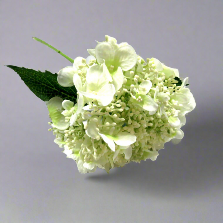 Hydrangea Quercifolia Bridal by Unique Boys
Experience the breathtaking beauty of our Hydrangea Quercifolia Bridal artificial flowers, expertly crafted to capture the elegance of real blooms.
Breathtaking Details