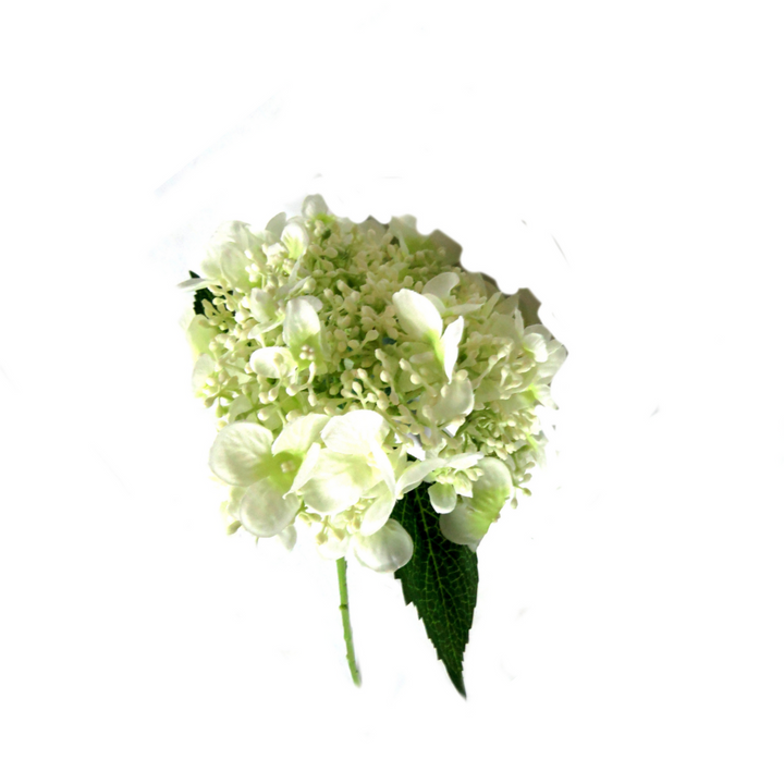 Hydrangea Quercifolia Bridal by Unique Boys
Experience the breathtaking beauty of our Hydrangea Quercifolia Bridal artificial flowers, expertly crafted to capture the elegance of real blooms.
Breathtaking Details