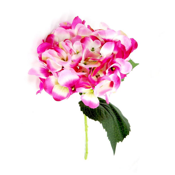 Hydrangea Raspberry Ripple by Unique Boys
Add a pop of color and vibrancy to your space with our stunning Hydrangea Raspberry Ripple artificial flowers.
Breathtaking Details