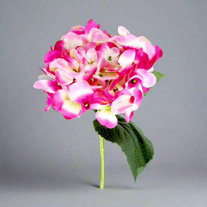 Hydrangea Raspberry Ripple by Unique Boys
Add a pop of color and vibrancy to your space with our stunning Hydrangea Raspberry Ripple artificial flowers.
Breathtaking Details