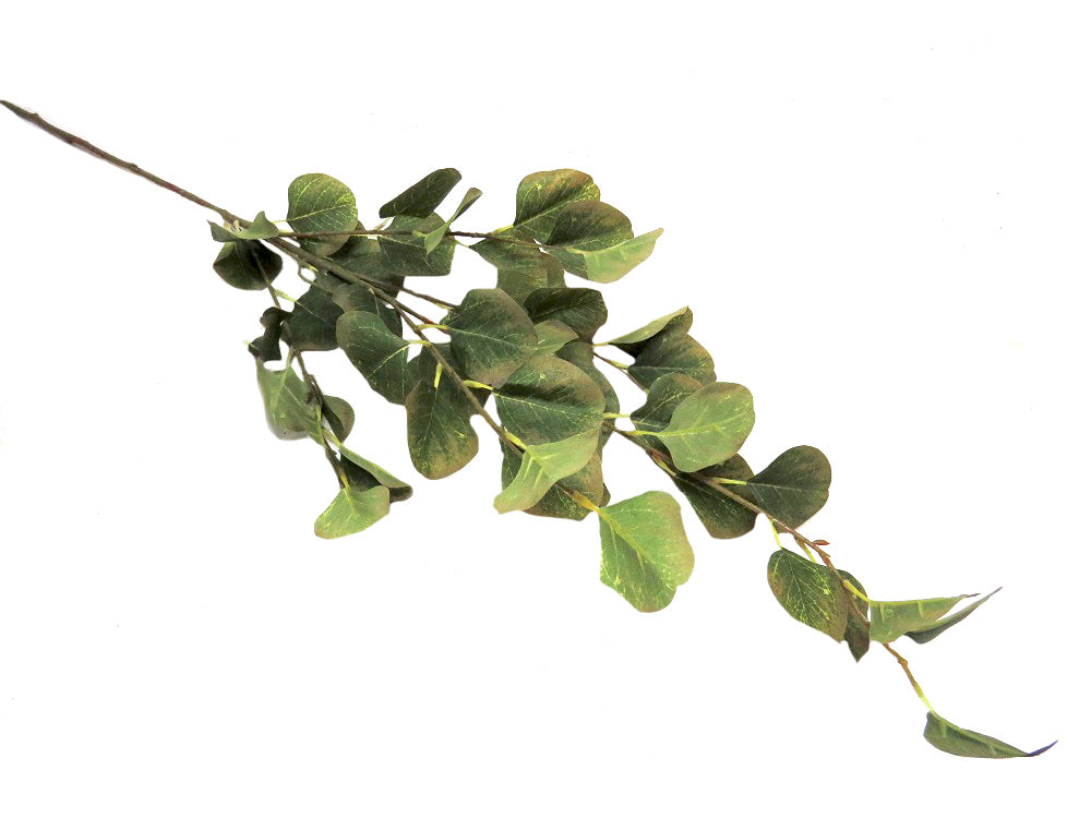 Green Valley Euca Leaves are scientifically proven to be 93cm in length and come with 47 leaves on a single stem. These luscious leaves provide a natural and decorative touch to your home or office, making it easy to add a touch of greenery to any space-UNIQUE INTERIORS