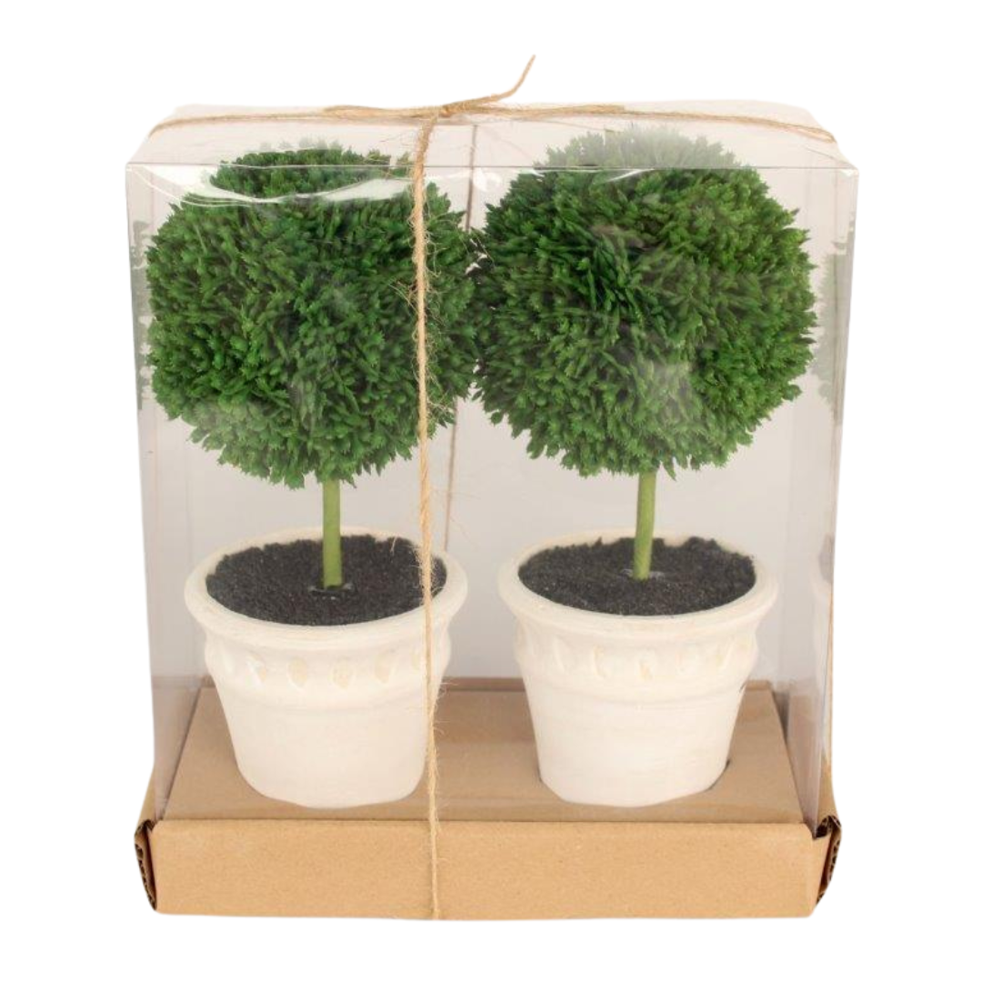 SET OF 2 MINI TOPIARIES 23X10X10