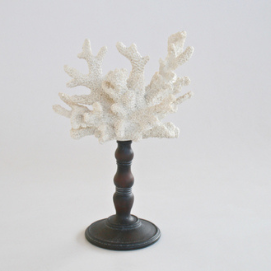 WHITE CORAL ON STAND 33X21CM