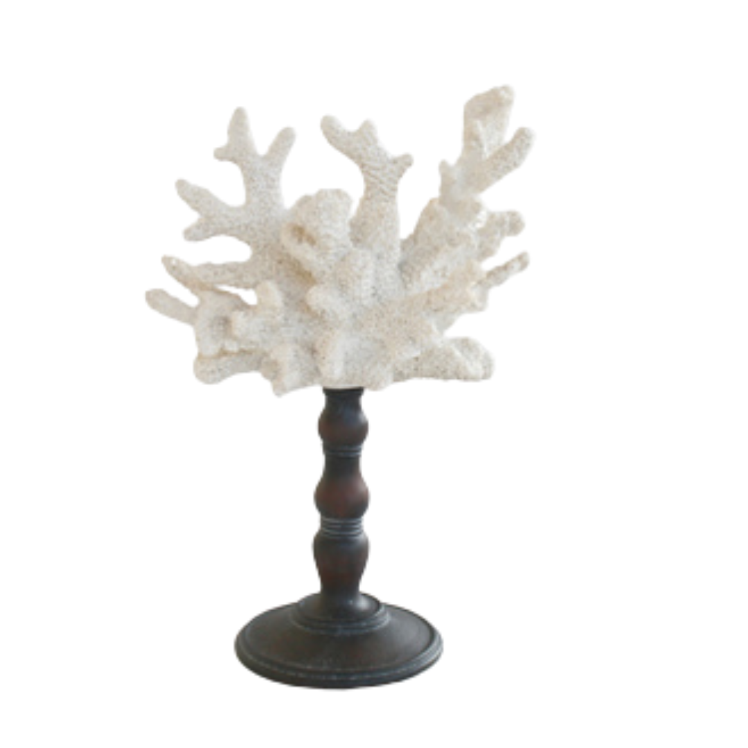 WHITE CORAL ON STAND 33X21CM