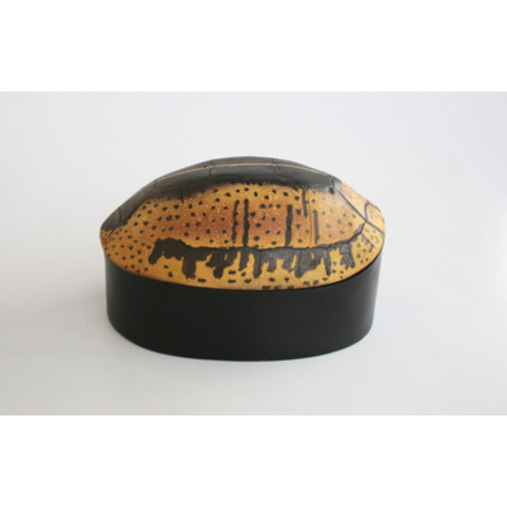 LARGE TORTOISE SHELL BOX 19X29CM