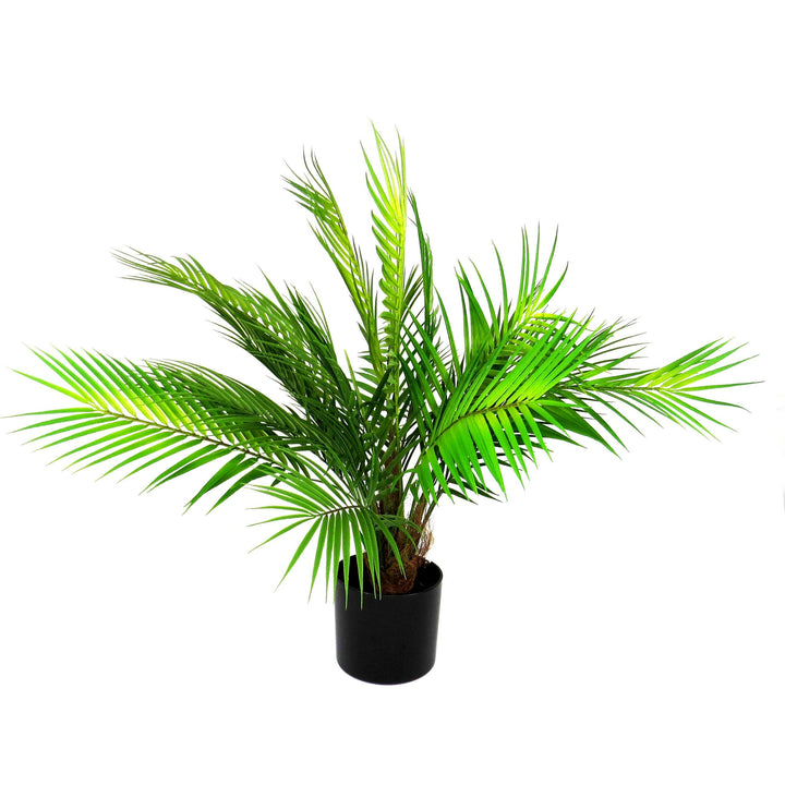 Introducing The Palace Palm - a stunning 70cm full, fronded palm tree that will add a touch of elegance to any space. Its realistic appearance, from the wrapped trunk to the exquisite foliage, will leave you feeling like you have your own mini tropical oasis. Made from premium materials, it's truly irresistible-UNIQUE INTERIORS