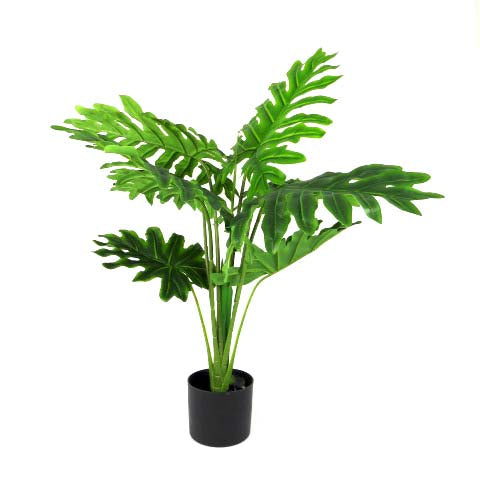 Discover the beauty of nature with our Philodendron Heartthrob. This 90cm plant boasts perfect form and a stunning color, thanks to its real touch feature. As a great specimen, it will add a touch of elegance to any space. No watering or maintenance required-UNIQUE INTERIORS