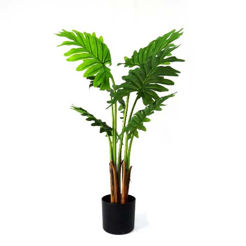 "The Philodendron Maywood stands tall at 120cm and boasts beautifully crafted real touch leaves. With its lifelike appearance and exceptional quality, this plant makes a stunning addition to any space. Enjoy the look of a real plant without the maintenance-UNIQUE INTERIORS