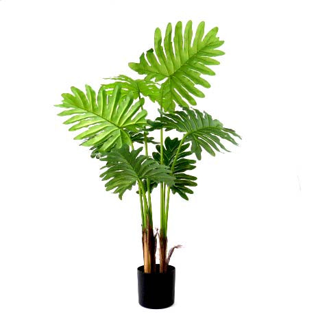 Expertly crafted with a real touch, the Philodendron Speciality stands at an impressive 90cm height. Its exceptional quality and construction make it incredibly lifelike, adding a touch of natural beauty to any space. Perfect for those seeking a realistic and beautiful addition to their home or office-UNIQUE INTERIORS