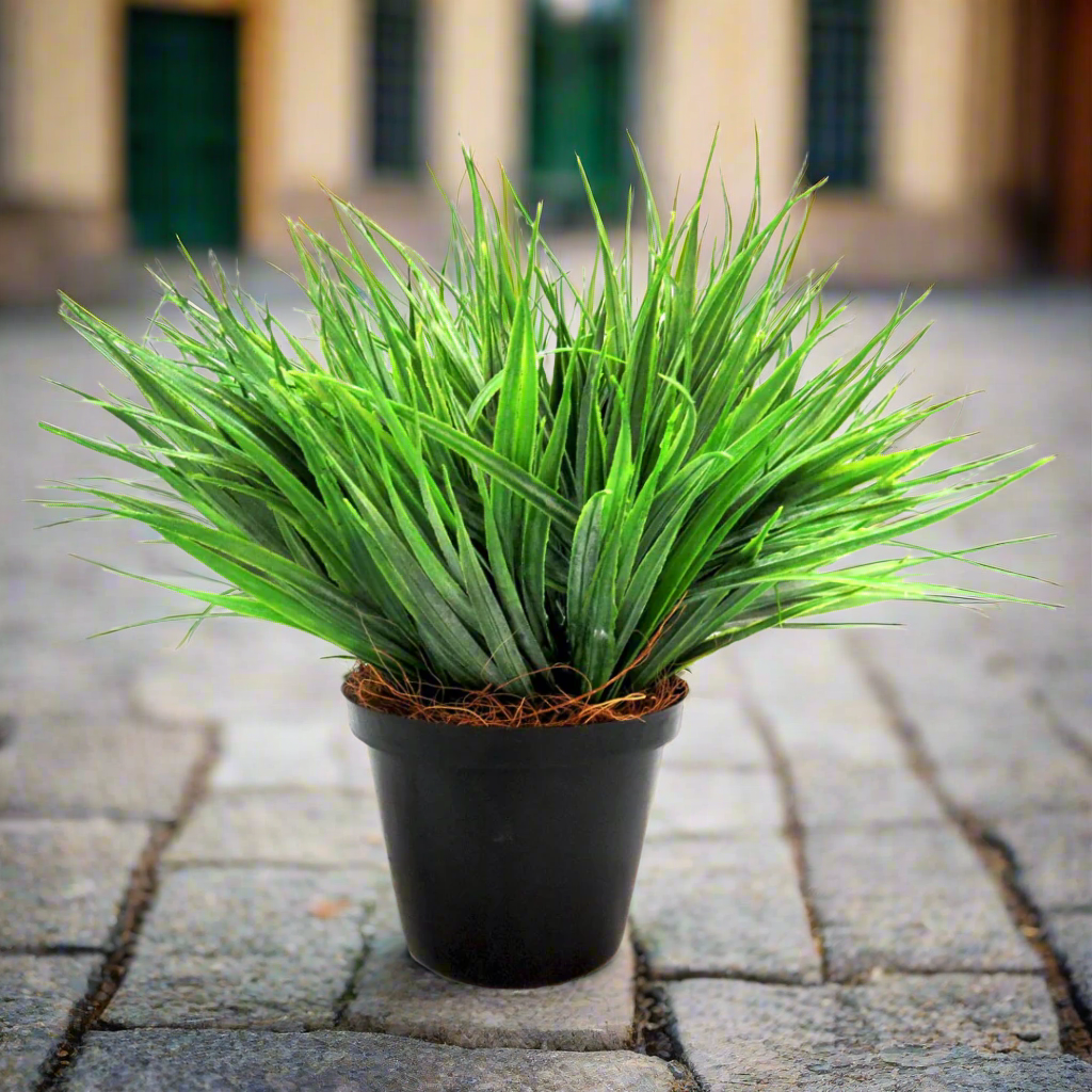 Large Hedgehog Plant Potted by Unique Boys
Add a touch of natural charm to your space with our Large Hedgehog Plant Potted, a beautifully crafted artificial plant.
Breathtaking Details