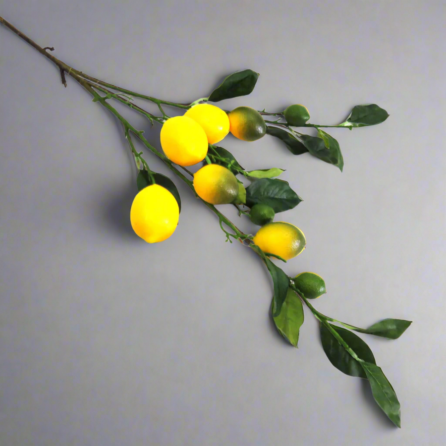 Lemon Branch: Bring the Outdoors In
Add a burst of citrusy freshness to your home decor with our vibrant Lemon Branch. Measuring 75cm in length, this artificial branch is the perfect way to introduce a natural touch to any room.
Botanical Beauty