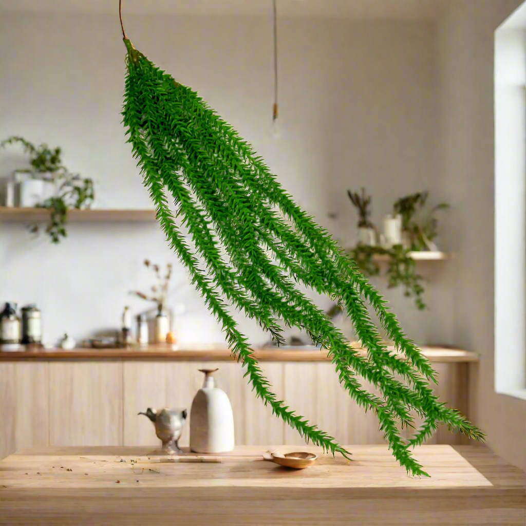 Longchamp Vine Artificial Hanging Plant - Bring the Outdoors In!
Add a touch of natural beauty to your space without the maintenance hassle! Our Longchamp Vine artificial hanging plant is:
Perfect for indoor spaces, offices, or homes
Made with high-quality materials for a lifelike appearance
Low-maintenance, yet aesthetically pleasing
68cmL in length, ideal for hanging baskets or pots
Effortless Style, Endless Benefits
No watering, pruning, or fertilizing required.