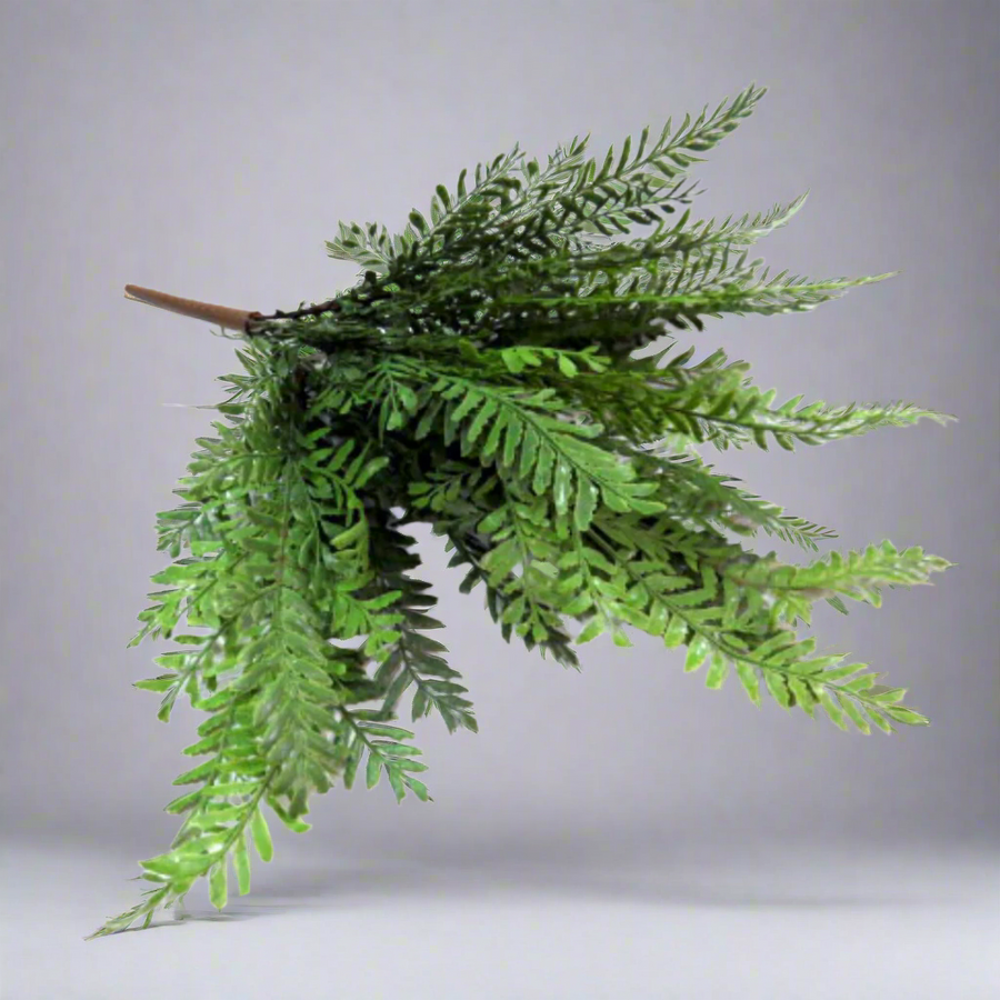 Longifolio Bush: Lush Greenery for Your Space
Bring the beauty of nature indoors with our stunning Longifolio Bush. This artificial fern bush boasts 20 intricately constructed fronds, creating a full and bursting appearance that adds a touch of elegance to any room.
Realistic and Versatile