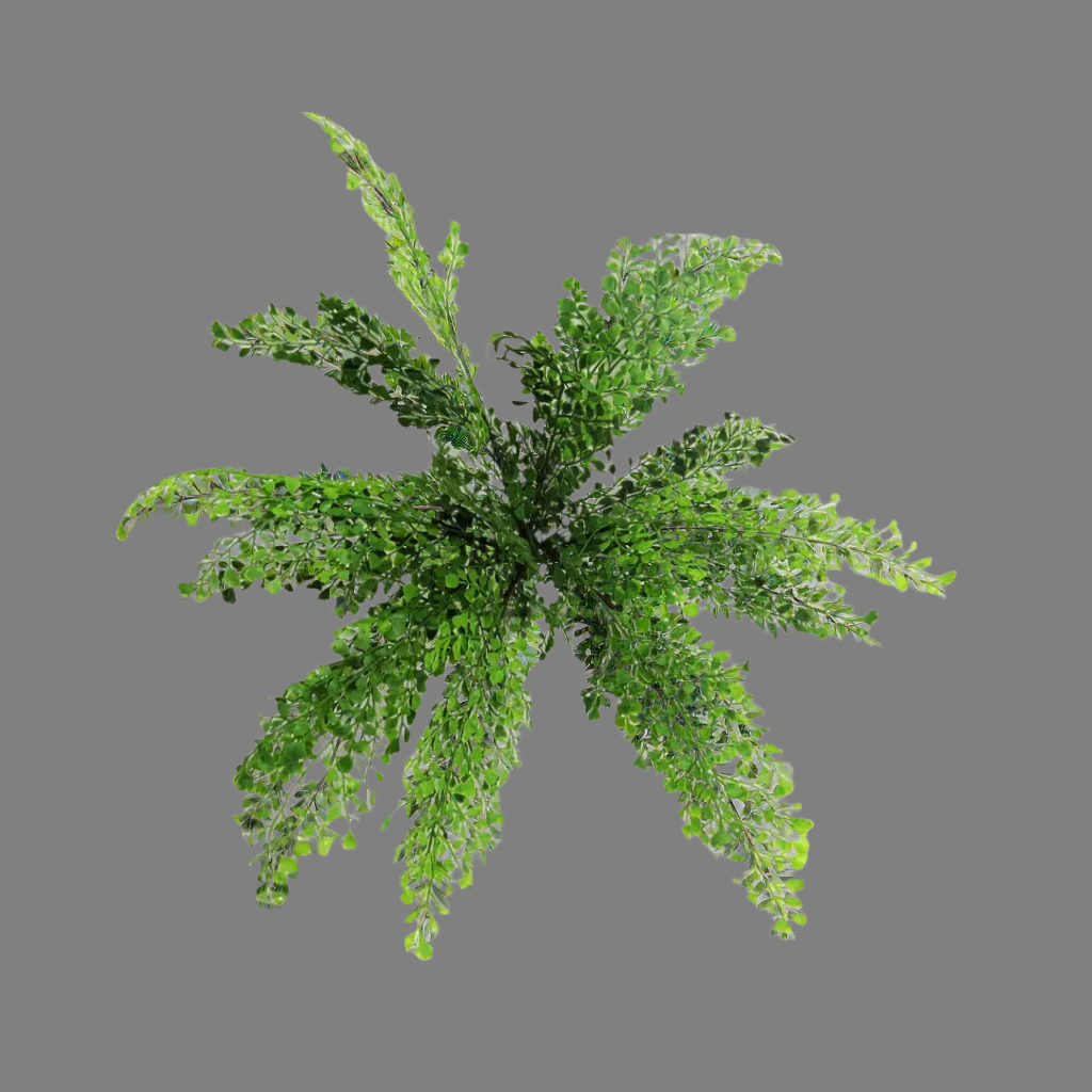 Maidenhair Bunch: Timeless Elegance with Zero Maintenance
Bring the serenity of nature into your home with our stunning Maidenhair Bunch. Featuring 48cm artificial stems, this beautiful arrangement requires no maintenance, making it perfect for busy lifestyles or those with allergies.
Effortless Style and Versatility