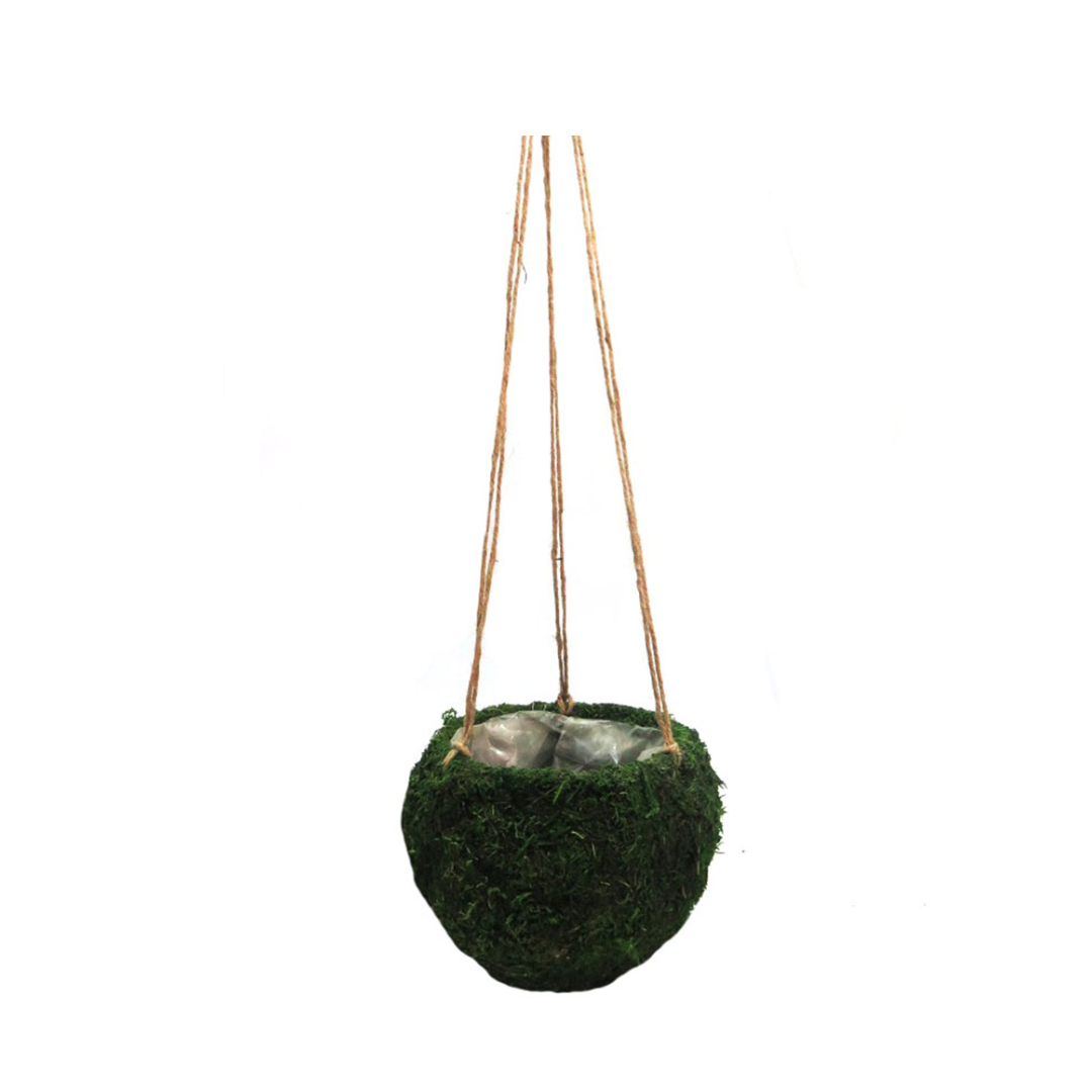 Mosshang Hanging Basket - A Touch of Whimsy!
Add a charming touch to your garden, balcony, or outdoor space with our Mosshang Hanging Basket!
Total length: 81cm, perfect for making a statement
Firm and strong design, ensuring durability
Lined with plastic, ideal for holding plants and flowers
Attractive and charming, bringing a touch of nature to your space
Perfect for:
Hanging plants and flowers
Adding a whimsical touch to your garden or balcony
Creating a beautiful focal point.