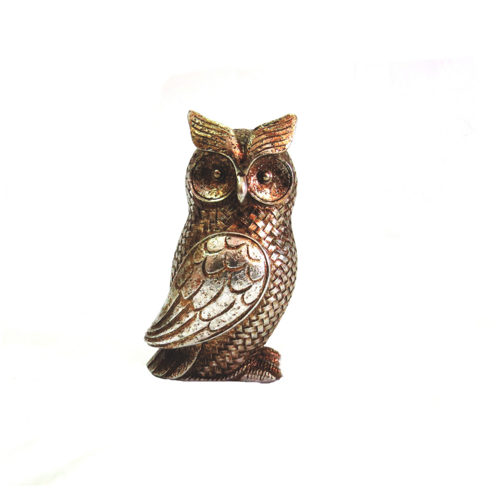 Otis Owl - Elegant Home Decor
Add a touch of sophistication to your home with Otis Owl, a beautifully crafted decorative piece. Made from 200g of goldy silver colored material, this exquisite owl figurine is expertly designed and constructed to blend style and quality seamlessly.