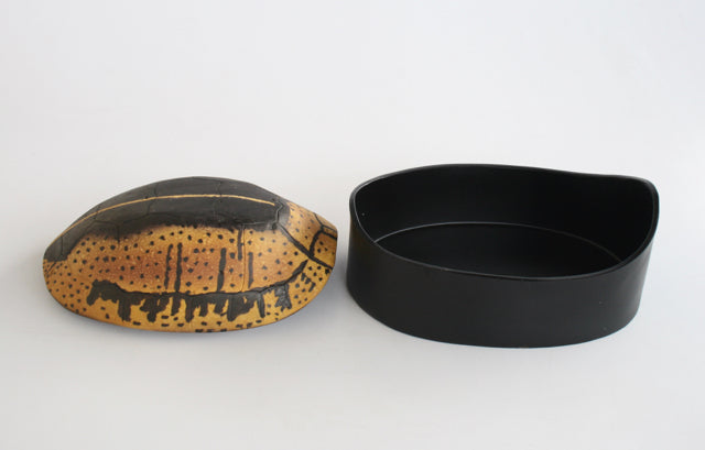 LARGE TORTOISE SHELL BOX 19X29CM