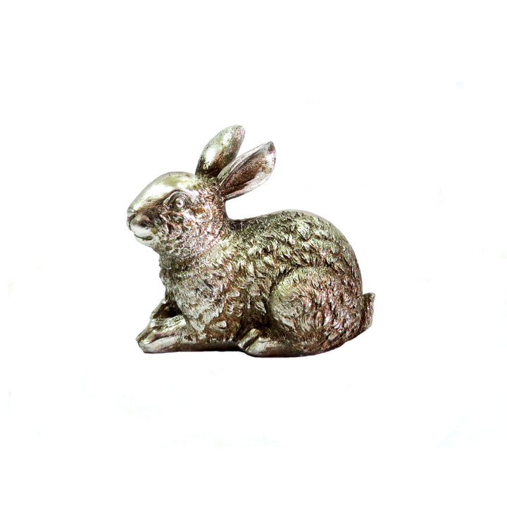 Ginseng Rabbit - Elegant Decor
Add a touch of sophistication to your home with the stunning Ginseng Rabbit decorative piece. Standing at 16cm in width and 14cm in height, its antique silver finish boasts intricate detailing, elevating the elegance of any room.