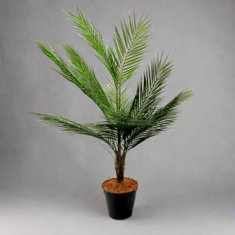 Palm Pinnaculata Artificial Plant

Description

Add a touch of elegance to any space with this high-quality artificial Palm Pinnaculata. Standing at 85cm tall with a 70cm span, its unique trunk details and vividly colored fronds make it a standout piece. Expertly potted in a sturdy and weighted container.