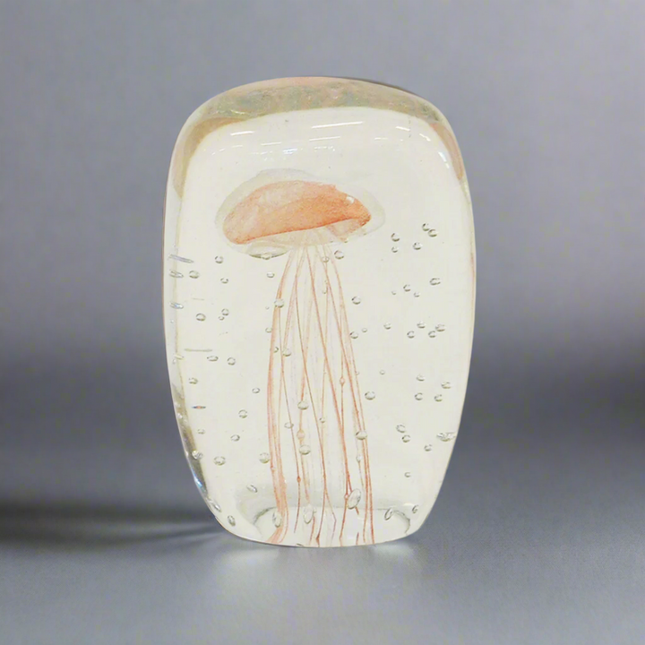 Paperweight Jellyfish Square Peach - 12cm
Add a touch of elegance and whimsy to your space with the stunning Paperweight Jellyfish Square Peach, expertly crafted from beautiful speckled glass.
Design Features:
Size: 12cm (Square)
Unique jellyfish-inspired design
Distinctive peach speckled pattern adds a pop of color and visual interest
Square shape provides a modern and sleek aesthetic
Interior Style:
Complements modern, coastal, bohemian, and eclectic interior styles
Adds a touch of sophistication and char