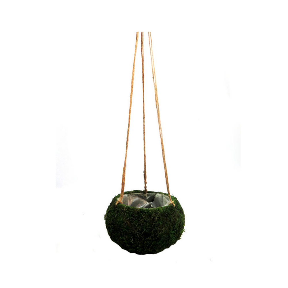 Product Details: Petitmoss Hanging Basket
Description: A charming artificial Petitmoss Hanging Basket, perfect for adding a touch of natural elegance to any garden or indoor space.
Material: Firm, hardened moss construction with plastic lining
Size:
Total length: 74cm
Basket diameter: 15cm
Basket height: 12cm