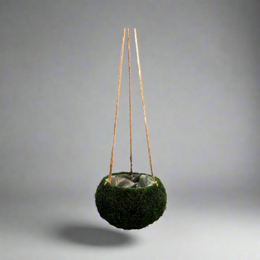 Product Details: Petitmoss Hanging Basket
Description: A charming artificial Petitmoss Hanging Basket, perfect for adding a touch of natural elegance to any garden or indoor space.
Material: Firm, hardened moss construction with plastic lining
Size:
Total length: 74cm
Basket diameter: 15cm
Basket height: 12cm