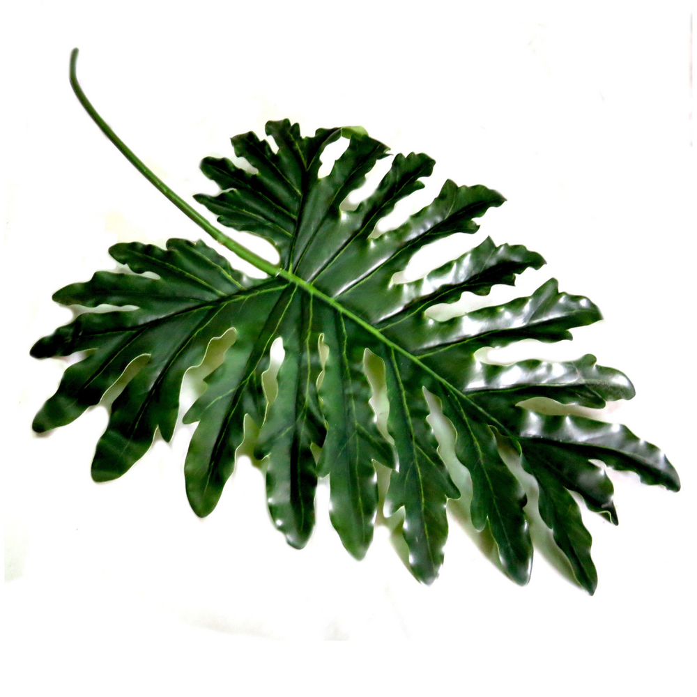 Product Details: Philodendron Leaf
Description: A stunning artificial Philodendron Leaf, perfect for adding a touch of natural elegance to your indoor space.
Material: Artificial
Size: 80cm length
Features:
Realistic appearance
Optimal size for decorative purposes
Low-maintenance
Uses:
Adding a touch of natural elegance to indoor spaces
Perfect for homes, offices, or public areas
Great for those who want beautiful plants without the hassle of maintenance
Store: Unique Boys, offering trendy decor that stays 