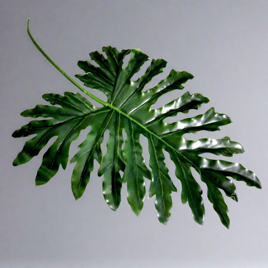 Product Details: Philodendron Leaf
Description: A stunning artificial Philodendron Leaf, perfect for adding a touch of natural elegance to your indoor space.
Material: Artificial
Size: 80cm length
Features:
Realistic appearance
Optimal size for decorative purposes
Low-maintenance
Uses:
Adding a touch of natural elegance to indoor spaces
Perfect for homes, offices, or public areas
Great for those who want beautiful plants without the hassle of maintenance
Store: Unique Boys, offering trendy decor that stays 