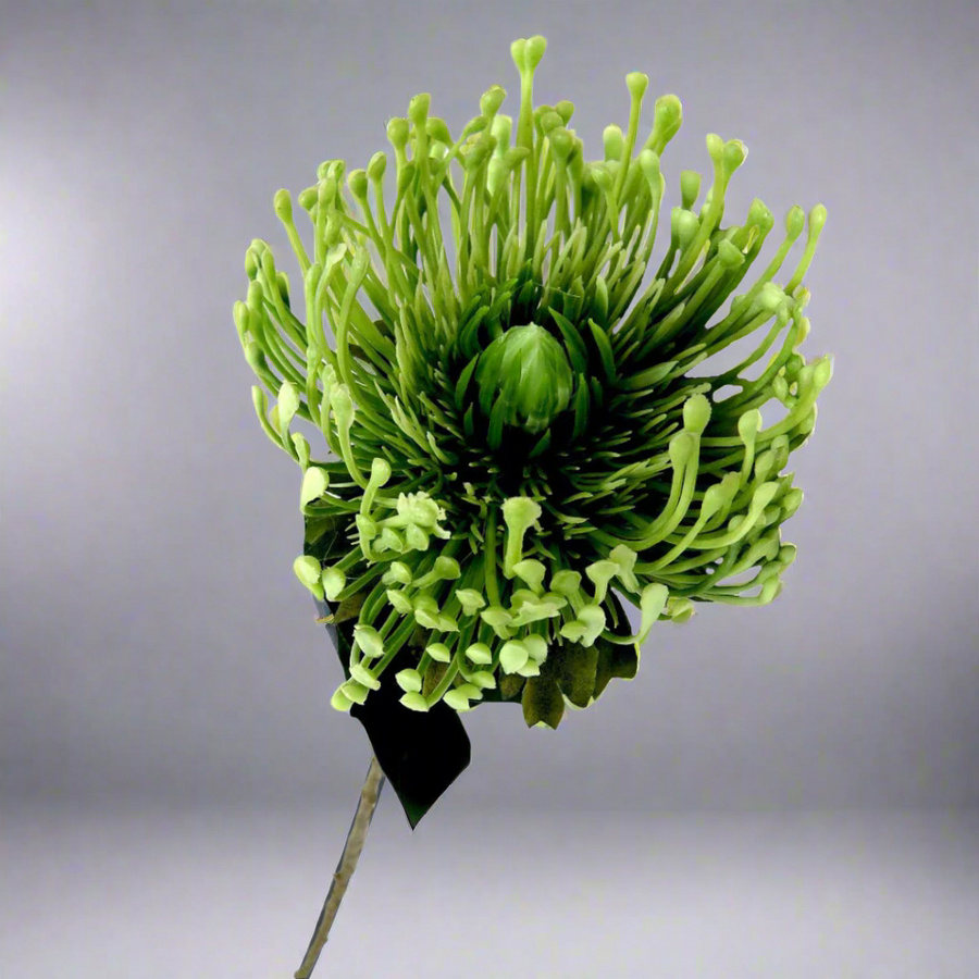 Product Details: Pincushion Greenfingers
Description: A stunning artificial Pincushion Greenfingers protea, featuring delicate shades of green and a dramatic, statement-making design.
Material: Artificial
Size: 73cm length x 11cm diameter
Features:
Generous stem length
Full and lush flower head
Delicate, realistic shades of green
Low-maintenance
Uses:
Adding a touch of drama and elegance to indoor spaces
Perfect for homes, offices, or public areas
Great for flower enthusiasts and experts
Store: Unique Boys,