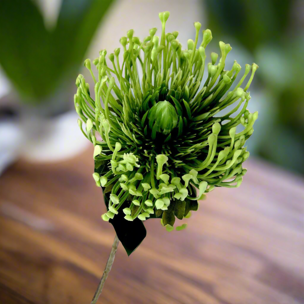 Product Details: Pincushion Greenfingers
Description: A stunning artificial Pincushion Greenfingers protea, featuring delicate shades of green and a dramatic, statement-making design.
Material: Artificial
Size: 73cm length x 11cm diameter
Features:
Generous stem length
Full and lush flower head
Delicate, realistic shades of green
Low-maintenance
Uses:
Adding a touch of drama and elegance to indoor spaces
Perfect for homes, offices, or public areas
Great for flower enthusiasts and experts
Store: Unique Boys,