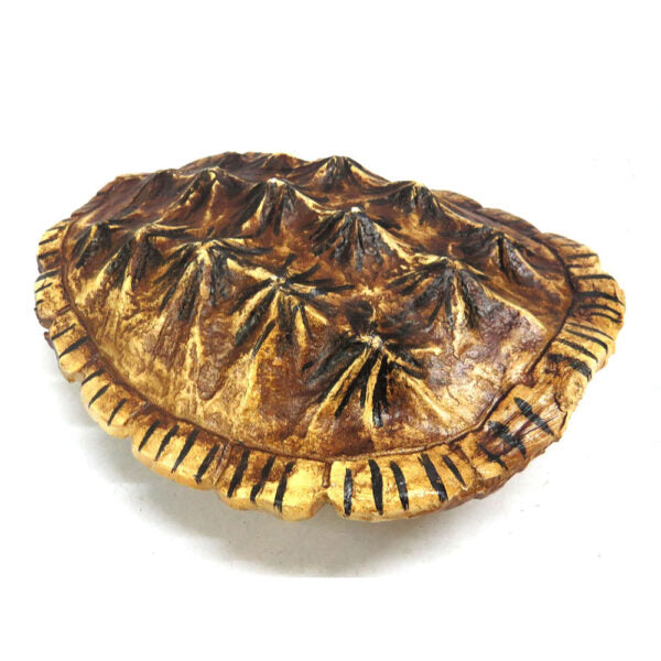 Balboa Tortoise