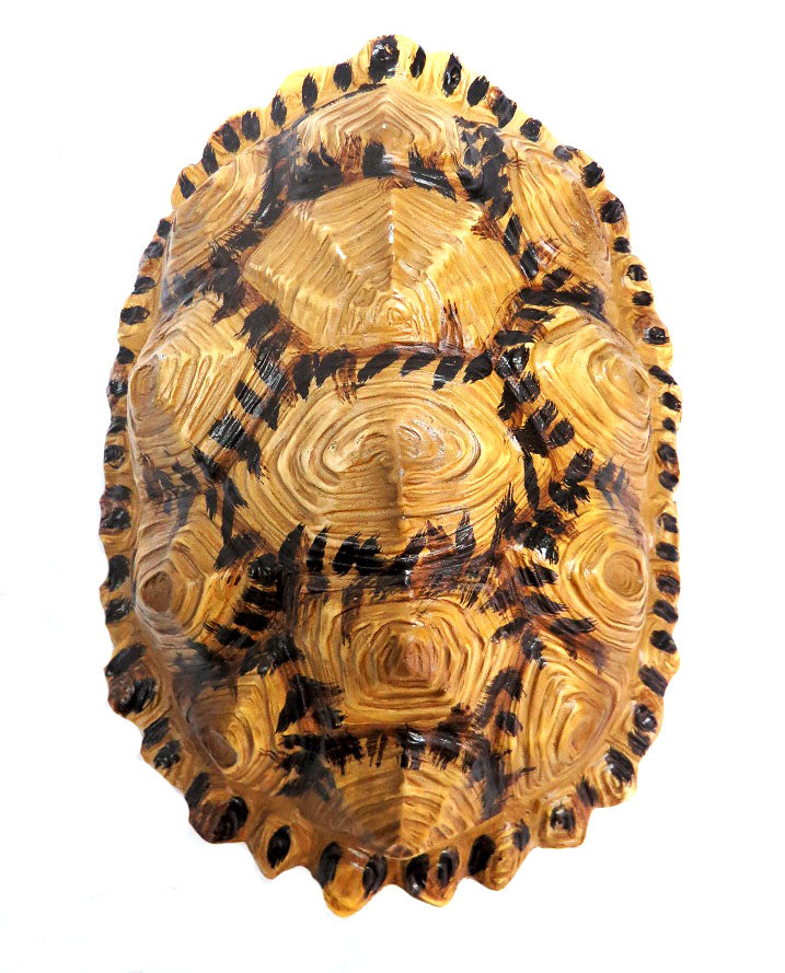 Shyman Tortoise