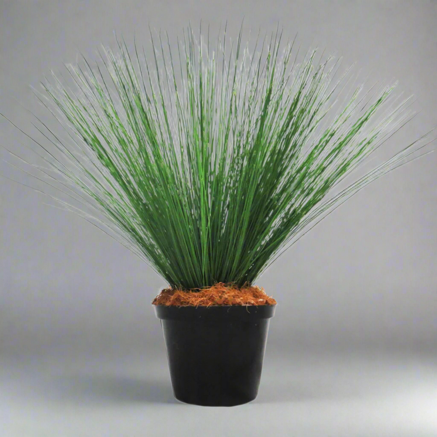 River Reeddance Plant
Description
Bring the serenity of nature indoors with the breathtaking River Reeddance Plant. This artificial plant boasts thousands of delicate, fluffy seed heads and rich green foliage, creating a stunning addition to any room.