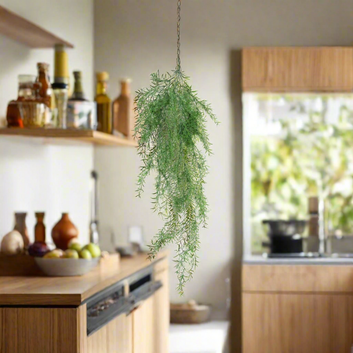 Sprengeni Vine - A Touch of Elegance & Nature!
Bring the beauty of nature indoors with the stunning Sprengeni Vine!
Impressive length: 80cmL, perfect for hanging
Vibrant green asparagus fern, adding a pop of color to any room
Long tendrils create a touch of elegance and sophistication
Air-purifying qualities promote a healthier living space
Benefits:
Low maintenance, no watering or pruning required
Adds a touch of natural beauty to any room
Perfect for indoor decor, offices, or as a thoughtful gift
Get Your