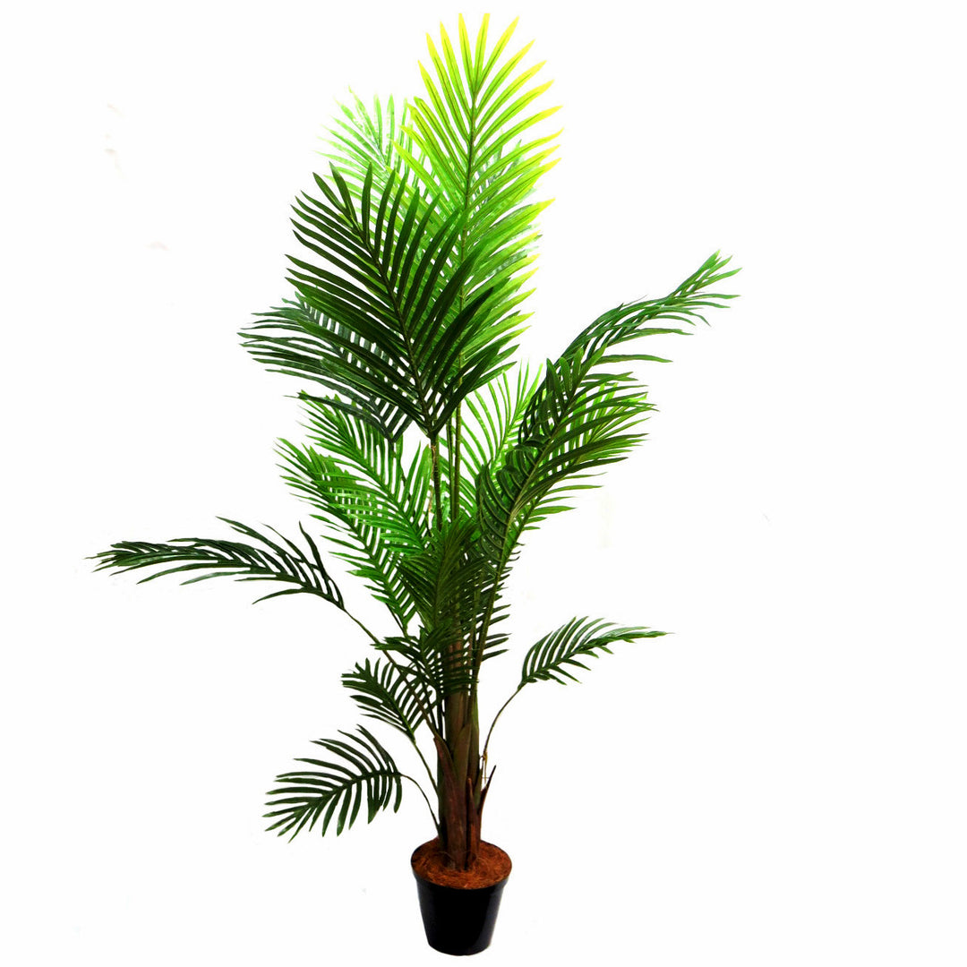 This Areca Palm reaches a height of 160cm, making it the perfect addition to any indoor or outdoor space. With its lush foliage and low maintenance, this plant not only adds a touch of green to your environment, but also helps improve air quality. A must-have for any plant lover or interior designer-UNIQUE INTERIORS