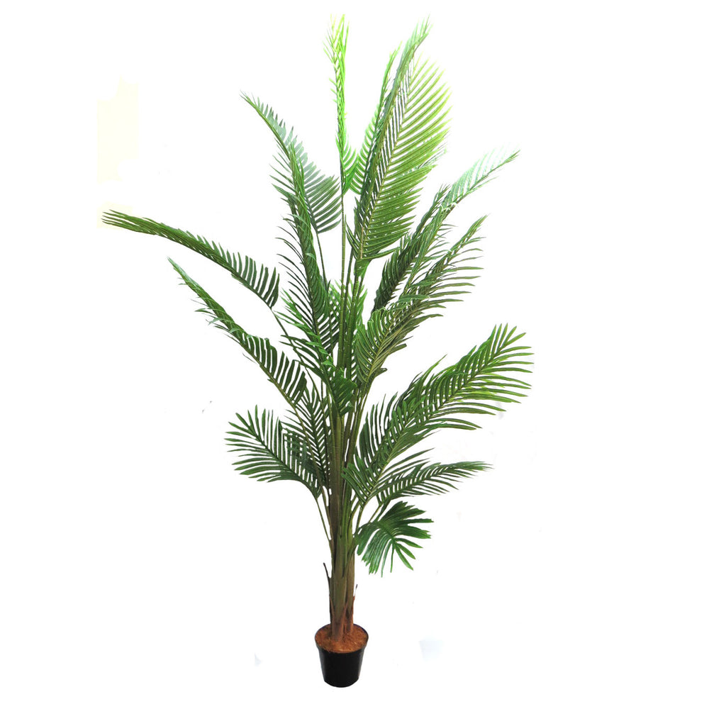 This Areca Palm reaches a height of 210cm, making it the perfect addition to any indoor or outdoor space. With its lush foliage and low maintenance, this plant not only adds a touch of green to your environment, but also helps improve air quality. A must-have for any plant lover or interior designer-unique interiors