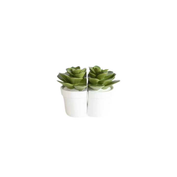 Set of 2 succulent book ends 15X15cm